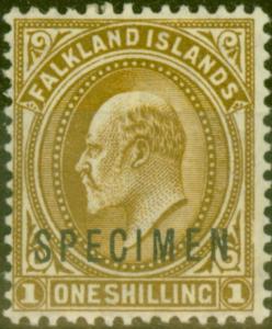 Falkland Islands 1904 1s Brown Specimen SG48s Fine & Fresh Very Lightly Mtd Mint