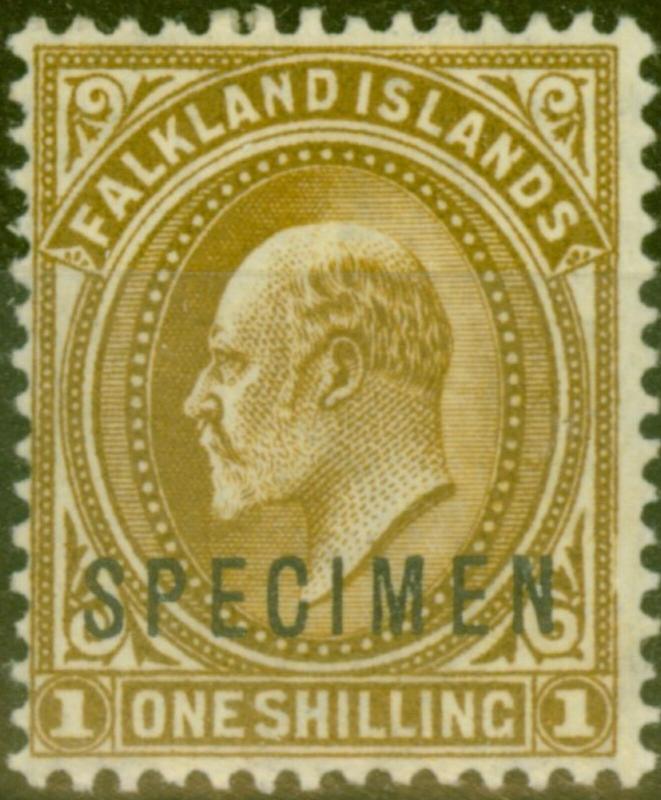 Falkland Islands 1904 1s Brown Specimen SG48s Fine & Fresh Very Lightly Mtd Mint