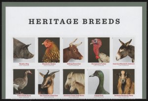 USA Sc. 5592b (55c) Heritage Breeds 2021 block of 10 MNH