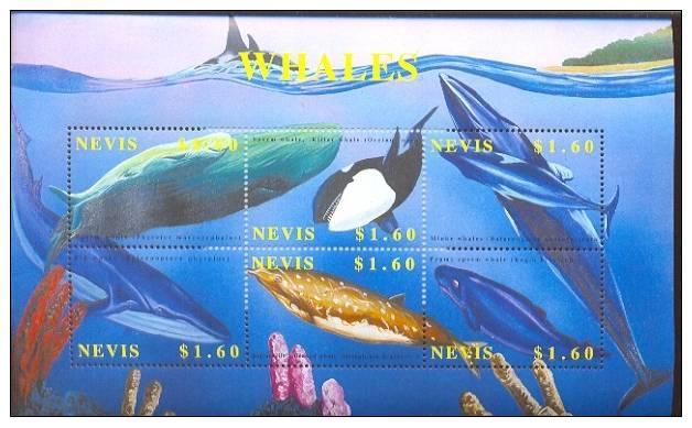 NEVIS SHEET MARINE LIFE WHALES