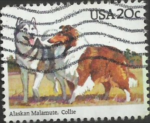 # 2100 USED ALSKAN MALAMUTE AND COLLIE