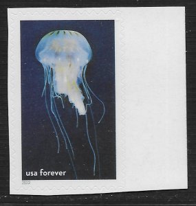 US #5713l (60c) National Marine Sanctuaries - Atlantic Sea Nettle ~ MNH