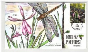 COLLINS HANDPAINTED 3611 LONGLEAF PINE FOREST FLORIDA FLOWERS ORCHID & SKIMMER