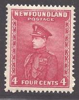 Newfoundland 189 (M)