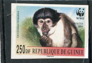 Guinea 2000 WWF MONKEY MANGABEY 1 value Imperforated Mint (NH)
