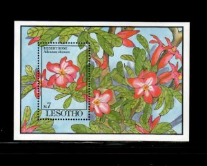 Lesotho 1993 - Flowers Orchids - Souvenir Stamp Sheet - Scott #958 - MNH
