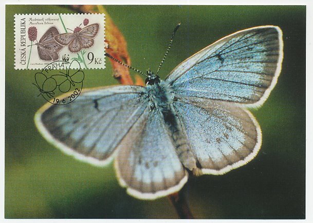 Maximum card Czech Republic 2002 Butterfly - WWF