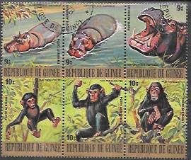 Guinea 1977  Used. Set of 6 airmail stamps. Endangered - hippos, chimps