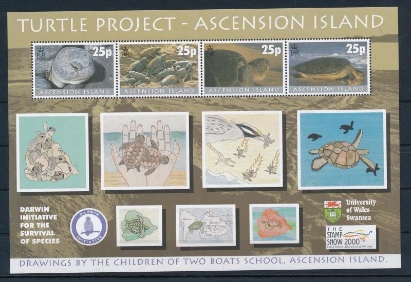 [31490] Ascension 2000 Marine Life Turtle project Stamp show 2000 MNH Sheet