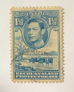 Bechuanaland Protectorate 1938 Scott 126 used - 1.½p, King George VI & Cattle