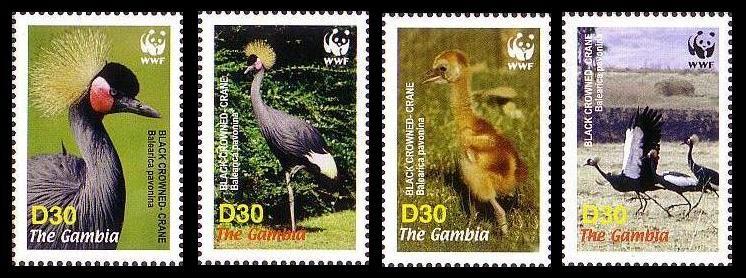 Gambia Birds WWF Black Crowned Crane 4v SG#4920-4923 MI#5631-5634 SC#3014 a-d