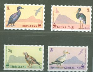 Gibraltar #591-594  Single (Complete Set) (Wildlife)