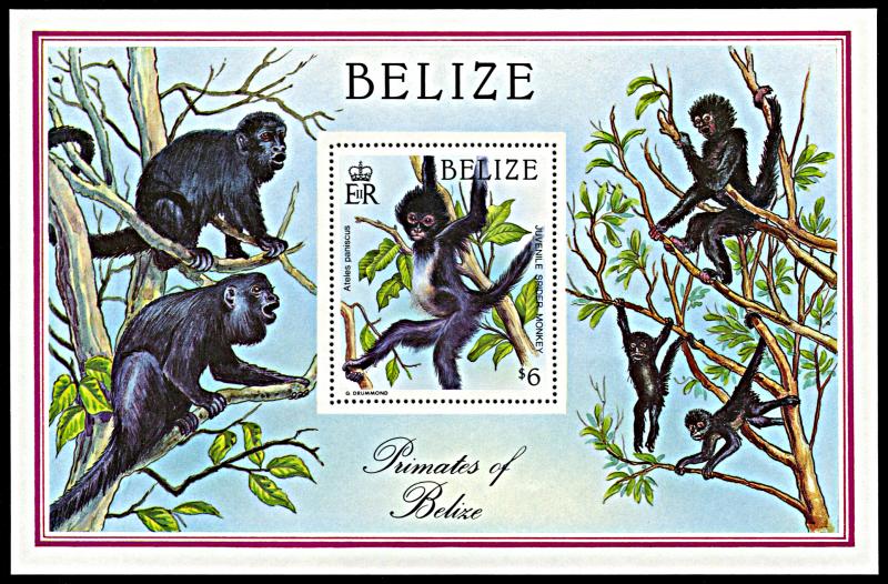 Belize 872, MNH, Primates of Belize souvenir sheet