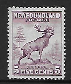 NEWFOUNDLAND 257 MNH CARIBOU ISSUE 1941