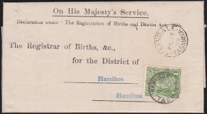 TASMANIA 1925 Birth notice ELLENDALE cds to Hamilton T perfin GV 1d green..B1778
