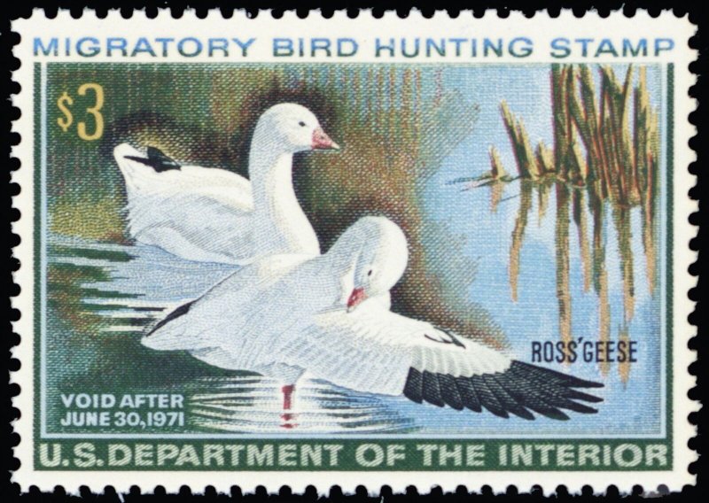 RW37, Mint VF NH $3 Ross' Geese Federal Duck Stamp - Stuart Katz