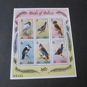 Belize 1980 Sc 500 bird MNH