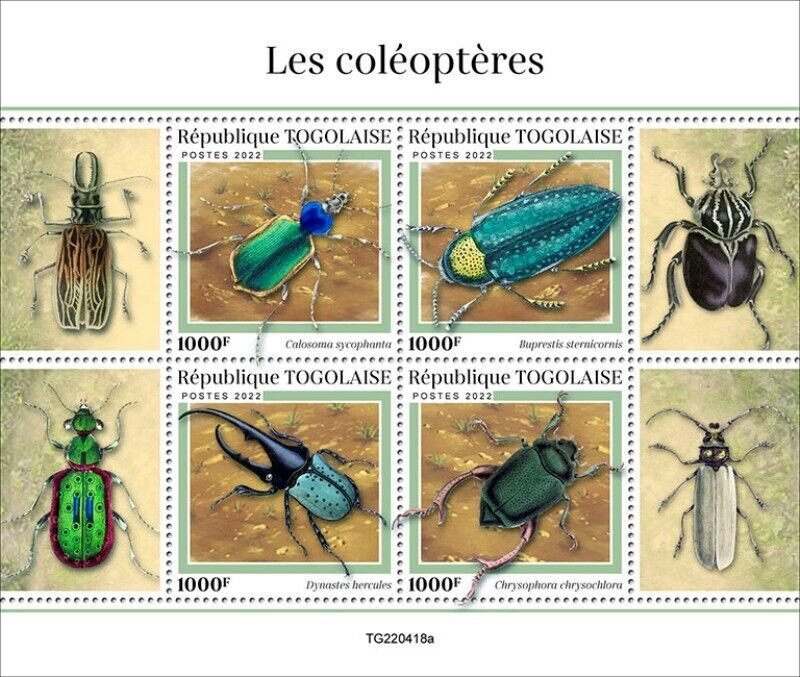 Togo - 2022 Beetles, Forest Caterpillar Hunter - 4 Stamp Sheet - TG220418a