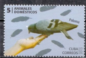 Cuba Sc# 5376  DOMESTIC ANIMALS bird PIGEON  2013 mint MNH