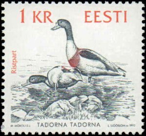 Estonia #231-234, Complete Set(4), 1992, Birds, Never Hinged