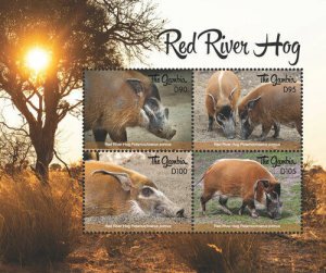 Gambia 2018 - Animals - Hogs Bushpigs - Sheet of 4 Stamps - Scott #3819 - MNH