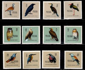 Poland Scott 935-946 MNH**  Bird stamp set CV $22