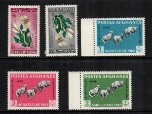 Afghanistan  637 - 641  MNH  cat $ 3.10