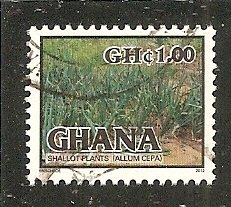 Ghana   Scott  2722  Shallot Plants   Used