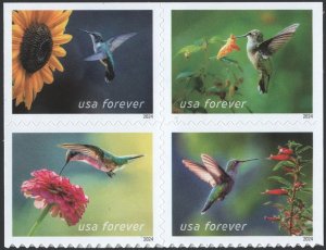 NEW ISSUE (Forever) Garden Delights Booklet Block of Four (2024) SA