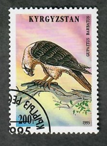 Kyrgyzstan #85 Raptor used single