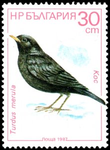 Bulgaria 3284 - Mint-H - 30s Common Blackbird (1987) (cv $0.55)