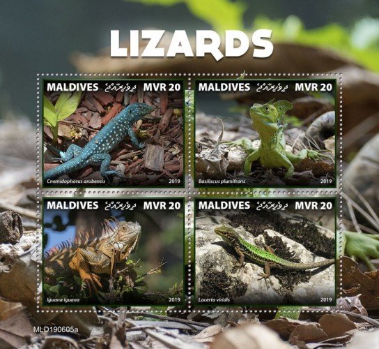 MALDIVES - 2019 - Lizards - Perf 4v Sheet - MNH