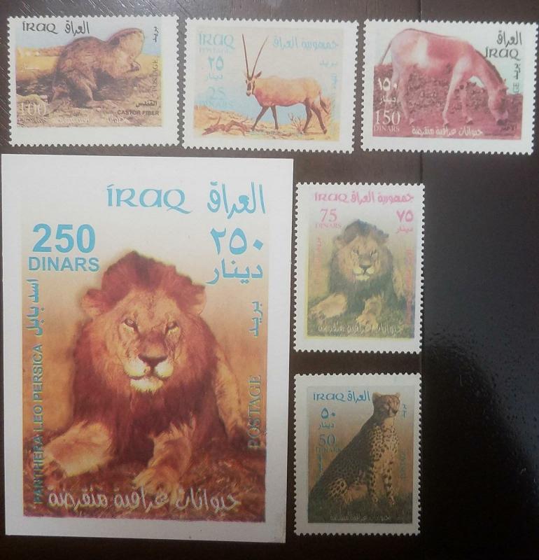 L) 2002 IRAQ, LION, CASTOR FIBER, LEOPARD, ANTELOPE, PANTHERA, ANIMALS, FAUNA