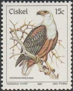 South Africa-Ciskei #18 1981 15c African Fish Eagle MNH.