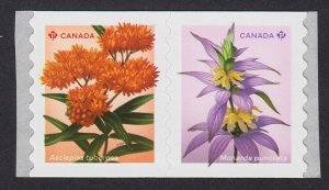 BUTTERFLY MILKWEED, SPOTTED BEEBALM wildflowers = Pair Type 1 = MNH Canada 2024