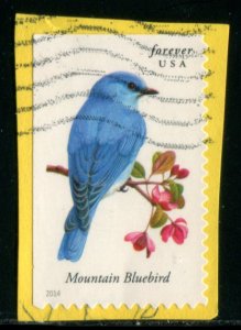 4883 US (49c) Songbirds - Mountain Bluebird SA, used on paper