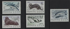Russia  #3882-3886  MNH  1971  sea mammals
