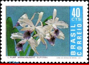 1203 BRAZIL 1971 ORCHID, FLORA, FLOWERS AND PLANTS, MI# 1297 RHM C-713, MNH