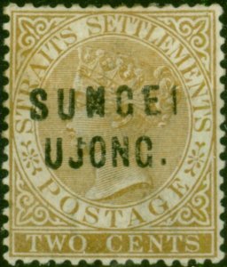 Sungei Ujong 1883 2c Brown SG28 Good MM