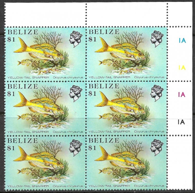 BELIZE 1988 $1.00 Yellow Tail Snapper P.13 1/2 Plate Block 6 Sc 711a MNH