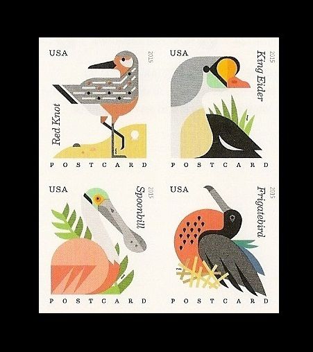 US 4991b-4994b Coastal Birds Postcard imperf NDC set (4 stamps) MNH 2015 |  United States, General Issue Stamp