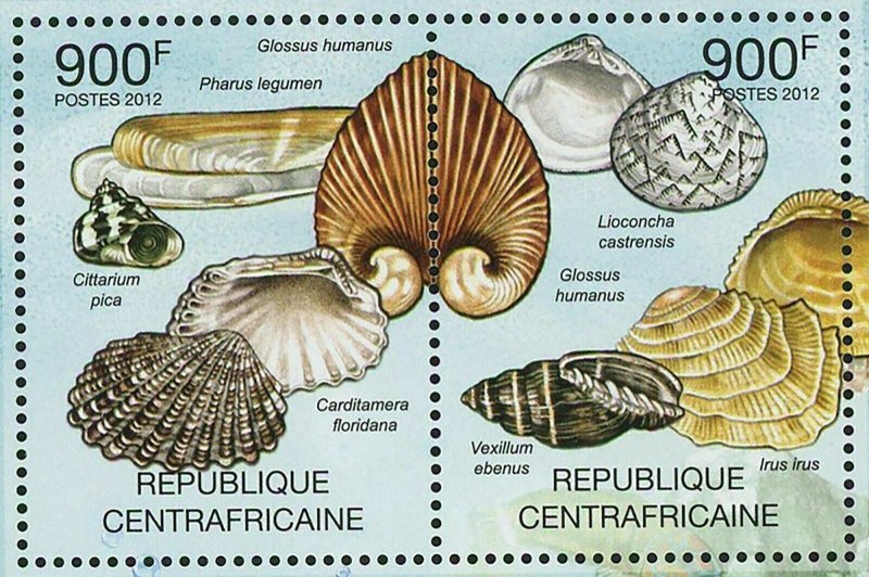 Shells Stamp Glossus Humanus Pharus Legumen Cittarium Pica S/S MNH #3647-3650 