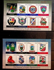 SALVADOR Sc 1695-6 NH 2 MINISHEETS OF 2009 - ARMS