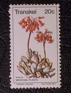 South Africa - Transkei Scott #27 mnh