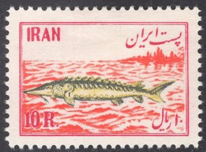 IRAN SCOTT 989