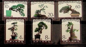 CHINA - PRC Sc 1665-70 (T61) NH ISSUE OF 1981 - MINI TREES
