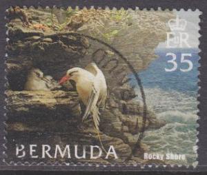 Bermuda sc#908 2005 35c Birds used