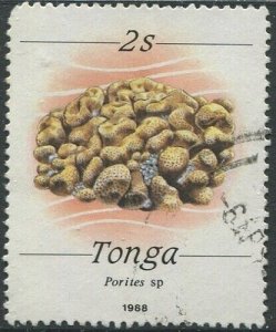 Tonga 1988 SG1000 2s Stony Coral FU