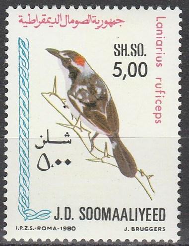 Somalia #493 MNH  CV $3.50 (A3526)