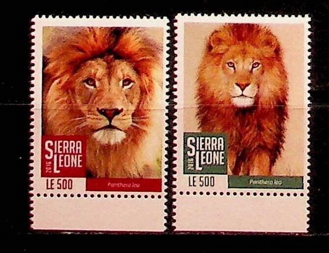 SIERRA LEONE Sc 3749-50 NH ISSUE OF 2016 - ANIMALS - LIONS